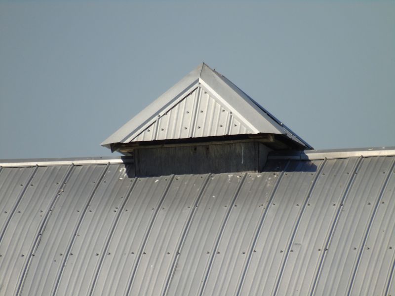 Tin Roof Installation in Limerick, ME