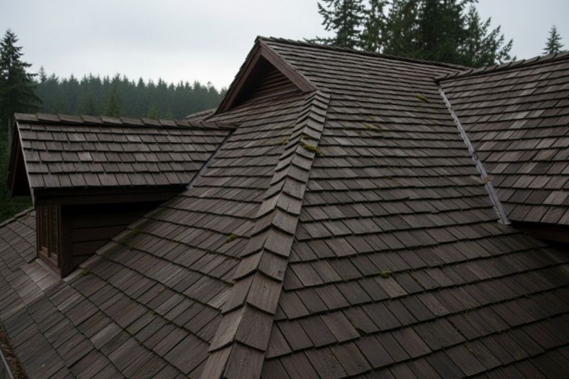 Cedar Shingles Replacement in Wells, ME